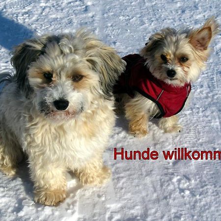 Fewo C3 für bis zu 2 Personen St. Blasien Exterior foto