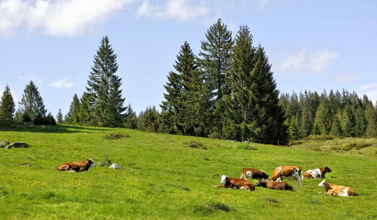Fewo C3 für bis zu 2 Personen St. Blasien Exterior foto