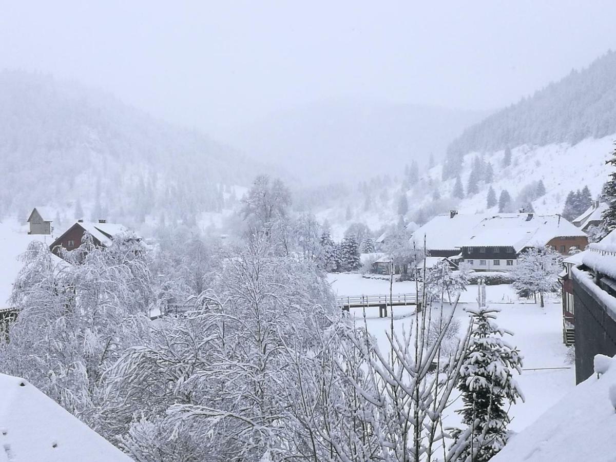 Fewo C3 für bis zu 2 Personen St. Blasien Exterior foto