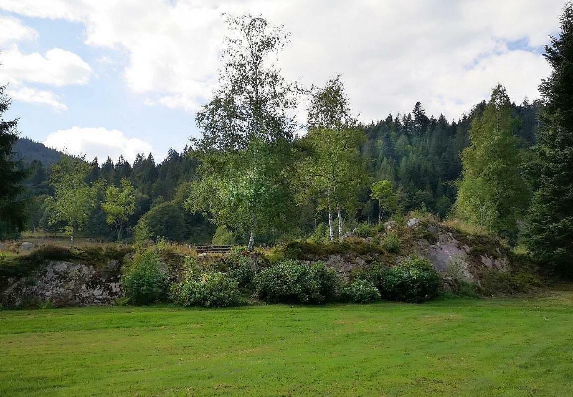 Fewo C3 für bis zu 2 Personen St. Blasien Exterior foto